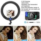 Pixel R60C 60W Live Photography Video Remote Control Ring Fill Light(B Set+AU Plug Adapter) - 13