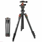  TRIOPO K268+KJ36 DSLR Tripod Photography Stand Portable Cell Phone Micro SLR Tripod - 1