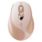 Inphic M8 Wireless Mouse Charging Quiet Office Home 2.4G USB Mouse(Milk Tea) - 1