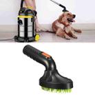 32mm Interface Diameter Vacuum Cleaner Pet Brush Head - 1