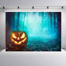 1.25x0.8m Holiday Party Photography Background Halloween Decoration Hanging Cloth, Style: C-1264 - 1