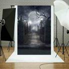 1.25x0.8m Holiday Party Photography Background Halloween Decoration Hanging Cloth, Style: WS-121 - 1