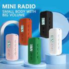 AM+FM Dual-Band Radio Portable Digital Display Mini Radio With 3.5mm Headphone Jack(Orange) - 2