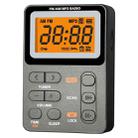 SH-01M Mini Portable Multifunctional Digital Display Two-Channel Radio, Size: JPN Version(Silver Gray) - 1