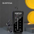 SH-05 Mini Listening Test Special Pin-Type FM/AM Two-Band Radio With Back Clip(Black) - 2