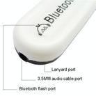B10 Dual Output USB Wireless Bluetooth Audio Receiver AUX Bluetooth Adapter - 2