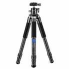 BEXIN RC254+LH-28 Carbon Fiber Portable Folding Tripod SLR Camera Low Gravity Center Gimbal Photography Bracket - 1