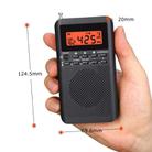 QL-218 Portable FM/AM Two-Band Alarm Clock Digital Display Radio, Style: US WB Version(Black) - 3