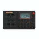 QL-M02 Portable FM/AM/SW Full-Band Digital Display Radio Recorder, Style: Bluetooth Version(Black) - 1