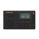 QL-M02 Portable FM/AM/SW Full-Band Digital Display Radio Recorder, Style: Bluetooth Version(Black) - 1