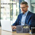 QL-221 Multifunctional Portable Bluetooth Plug-In Card Two-Band FM/AM Recording Radio, Style: US Version(Grey) - 4