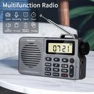 QL-221 Multifunctional Portable Bluetooth Plug-In Card Two-Band FM/AM Recording Radio, Style: US Version(Grey) - 6