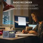 QL-221 Multifunctional Portable Bluetooth Plug-In Card Two-Band FM/AM Recording Radio, Style: US Version(Grey) - 12