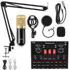 BM800+V8S Sound Card Set  Audio Condenser Mic Studio Singing Microphone - 1