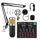 BM800+V8 Sound Card Set Audio Condenser Mic Studio Singing Microphone - 1