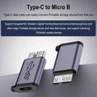 Type-C Female Transfer Micro B Male Adapter USB Link HDD Enclosure Interface Converter - 4