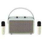 Leather Texture Portable Wooden Home Karaoke Bluetooth Speaker, Color: Gray+Dual-microphone - 1