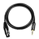 JINGHUA 3.5mm Male To XLR Female Microphone Cable Computer Mixer Audio Cable, Length: 1.5m - 1