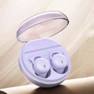 Q26 Bluetooth 5.3 Sleep Mini Wireless Bluetooth Earphone Invisible Comfortable Noise Canceling Earphones(Purple) - 1