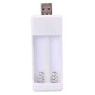 Directly Inserted 2 Slots USB AA / AAA Rechargeable Battery Charger - 1
