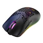 XUNSVFOX XYH80 Hollow Hole Rechargeable Wireless Gaming Mouse RGB Light Computer Office Mouse(Black) - 1