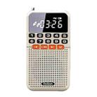 Rolton T1 Portable Radio Receiver Old People Singing Opera Player Mini Stereo Walkman(Gold) - 1