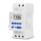  SINOTIMER TM919A-2 220V 16A Din Rail Mount Digital Timer Switch Microcomputer Weekly Programmable Time Relay Control - 1
