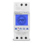 SINOTIMER  TM929AKL 85-265V 16A 24hrs Digital Analogue Din Module Time Switch With Backlight - 1