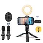 3.5mm Receiver Wireless Lavalier Microphone 9-inch Fill Light Tripod Set for Live Photography, Spec: Double Mic - 1