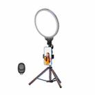 12.6 Inch Full-Screen Selfie Ring Light Tripod Set For Live Stream, Spec: 55cm Bracket - 1