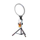 10.2 Inch Full-Screen Selfie Ring Light Tripod Set for Live Stream, Spec: 55cm Bracket - 1