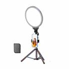 10.2 Inch Full-Screen Selfie Ring Light Tripod Set for Live Stream, Spec: 55cm Bracket With Remote Control - 1