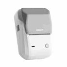 NIIMBOT Portable Bluetooth Sticker Label Thermal Printer(Light Sand English) - 1