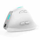 ZELOTES F36 9-Keys Vertical Grip Ergonomic Programming Dual Bluetooth + 2.4G Wireless Mouse(White) - 1