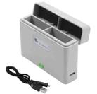 For DJI Action 3 / Action 4 Camera YX 2-Way Charger Battery Manager(Gray) - 1