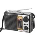 Isolariearth IS-F10S Solar Powered Full-Band FM / AM / SW Radio Bluetooth Speaker with Flashlight - 1