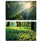 57 x 87cm Double-sided 3D Forest Photography Background Paper Photography Props(03) - 1