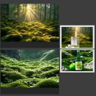 57 x 87cm Double-sided 3D Forest Photography Background Paper Photography Props(05) - 2