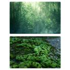 57 x 87cm Double-sided 3D Forest Photography Background Paper Photography Props(06) - 1