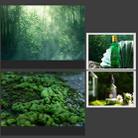 57 x 87cm Double-sided 3D Forest Photography Background Paper Photography Props(06) - 2