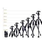 XILETU FM5C-MINI Adjustable 16.5-51cm Aluminum Tripod with 26mm Ball Head 6kg Load Capacity for 360-degree Panoramic Shooting - 4