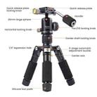 XILETU FM5C-MINI Adjustable 16.5-51cm Aluminum Tripod with 26mm Ball Head 6kg Load Capacity for 360-degree Panoramic Shooting - 5