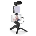 49 LEDs Streaming Lighting Kit for Phone All-in-One Video Recording Set with Tripod Stand &  Microphone AY-49 - 1