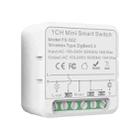 FS-02Z 1CH ZigBee16A Smart Switch Voice Timer Switch For Amazon Alexa / Google Assistant - 1