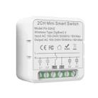 FS-02HZ 2CH ZigBee 16A Smart Switch Voice Timer Switch For Amazon Alexa / Google Assistant - 1
