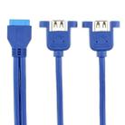 50CM USB3.0 Data Cable Motherboard 20p To Dual Usb3.0 Baffle Line With Ear - 2