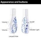 Flowers Blue and White Porcelain Pattern Portable Audio Voice Recorder USB Drive, 16GB, Support Music Playback - 4