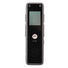 VM179 Portable Audio Voice Recorder, 8GB, Support Music Playback / TF Card - 2