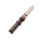 CAGARNY Simple Fashion Watches Band Silver Buckle Leather Watch Band, Width: 14mm(Brown) - 1