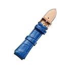 CAGARNY Simple Fashion Watches Band Gold Buckle Leather Watch Band, Width: 18mm(Blue) - 2